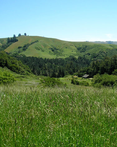 Valley in Woodside, California